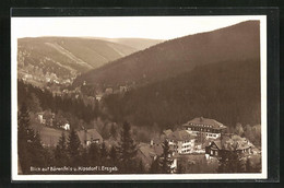 AK Kipsdorf I. Erzgebirge, Blick Auf Bärenfels Und Ort - Kipsdorf