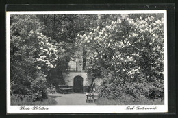 AK Heide-Holstein, Park-Oesterweide - Heide