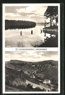 AK St. Andreasberg / Oberharz, Oderteich, Panoramablick Vom Treibholz - St. Andreasberg