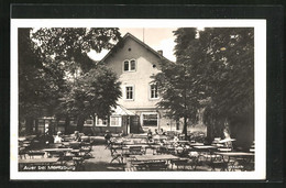 AK Moritzburg, Gasthof Auer Aussenansicht - Moritzburg