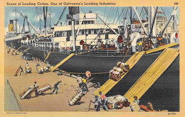 Loading Cotton Bales On Steamer Ship Galveston Texas 1940s Linen Postcard - Galveston