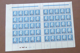 France - 1926-27 - N°Yv. 219 - Pasteur - Bloc De 50 Bord De Feuille - Neuf Luxe ** / MNH / Postfrisch - Neufs