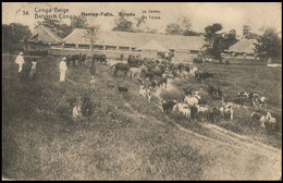 CP/PK 10c ° - 36 - Stanley - Falls - Romée - La Ferme / De Hoeve - Sakania 1914 - Entiers Postaux