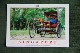 SINGAPORE - A Trishaw Driver Takes A Break From The Heat Of The Tropical Sun. - Singapur