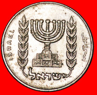 • MENORAH: PALESTINE (israel) ★ 1/2 LIRA 5739 (1979)! MINT LUSTER! LOW START ★ NO RESERVE! - Autres – Asie