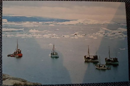 Greenland Sarqaq - Groenlandia