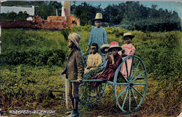 BERMUDA , T.P. CIRCULADA , NATIVES , CHILDREN , ETHNIC , CARRO , - Bermudes