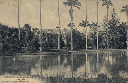 1912 BARBADOS , T.P. CIRCULADA , CODRINGTON COLLEGE , THE LAKE - Barbades