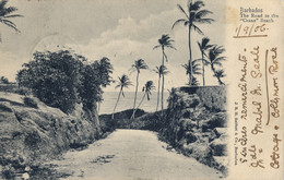 1906 BARBADOS , T.P.  CIRCULADA , THE ROAD TO THE " CRANE " BEACH - Barbados