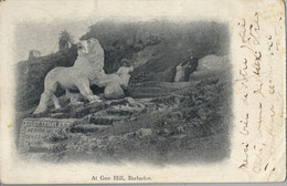 1906  BARBADOS , T.P.  CIRCULADA , AT GUN HILL - Barbados (Barbuda)
