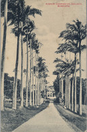 1912  BARBADOS , T.P.  CIRCULADA , AVENUE CODRINGTON , COLLEGE - Barbades