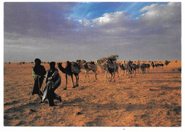 MALI - A CAMEL CARAVAN CARRYING SALT - IVECO Cards 2122/1 - Phot. Enzo Ragazzini - Malí