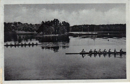 Třeboň - International Rowing Frigate 1938 - Régate International - Internationale Ruderfregatte Wittingau - Rowing