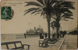 Cartes Postales NICE La Promenade Des Anglais Palmiers N° 7 - Musei