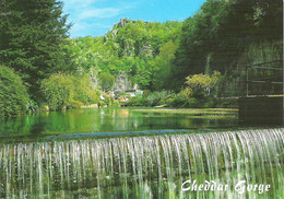 THE WATERFALL, CHEDDAR GORGE, SOMERSET, ENGLAND. USED POSTCARD Fq8 - Cheddar