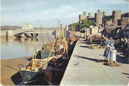 CONWAY CASTLE, CAERNARVONSHIRE, WALES. UNUSED POSTCARD Fq9 - Caernarvonshire