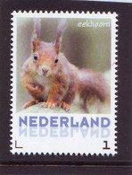 Nederland NVPH 3013 Eekhoorn  Squirrel 2013 Postfris MNH Netherlands - Neufs