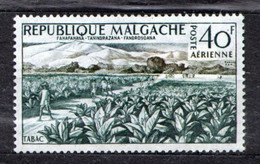 Madagascar 1960 Mi 456 Tobacco Field. - NG - Altri & Non Classificati