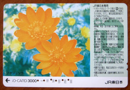 GIAPPONE Ticket Biglietto Treni - Fiori Flower Railway  IO Card 3.000 ¥ - Usato - Mondo