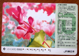 GIAPPONE Ticket Biglietto Treni - Fiori Flower Railway  IO Card 5.000 ¥ - Usato - World