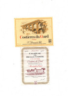 2 étiquettes  Costieres Du Gard  Avec Pont Du Gard Et Château De Belle-Coste 1985 - Collections, Lots & Séries