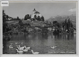 Schloss Werdenberg Bei Buchs - Schwäne - Buchs