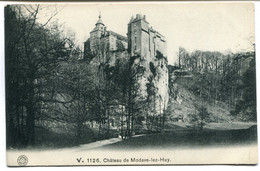 CPA - Carte Postale - Belgique - Château De Modave Lez Huy (DO16830) - Modave