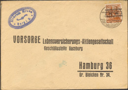 Bizone 24 Pfg. Bandaufdruck  Brief Aus Burg (Dithm) Alt-Einkreisstegstempel - American/British Zone