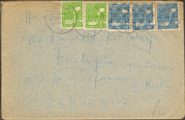 Bizone 2 U.12 Pfg. Band- U.10 Pfg.Netzaufdruck  Brief Aus Maria-Veen - American/British Zone