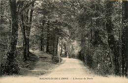 61 * Bagnoles De L'orne - Bagnoles De L'Orne