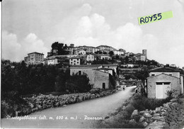 Umbria-terni-montegabbione Animata Veduta Panorama Ingresso Paese Montegabbione Anni 50 - Altri & Non Classificati