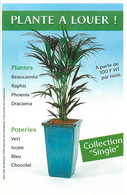 Publicités - Publicité Rentokil Plantes - Collection Single - Plante à Louer - Bon état - Publicités