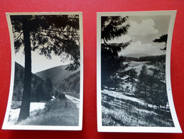 2 X Schalkau - Dorntal 1954 - Theuerngrund 1956 - Sonneberg - Echt Foto Kleinformat - Thüringen - Sonneberg