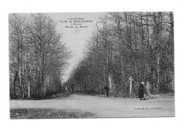 PF1853 - 41 Marchenoir - Forêt - L'étoile - Route Du Baron - Marchenoir