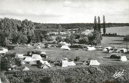 CPSM FRANCE 78 "St Arnoult En Yvelines, Camping" - St. Arnoult En Yvelines