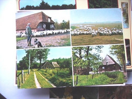 Nederland Holland Pays Bas Dwingeloo Met Herder En Schaapskudde - Dwingeloo