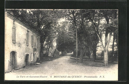 CPA Montaigu-du-Quercy, Promenades - Montaigu De Quercy