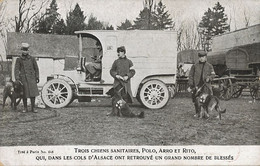 Red Cross 3 Sanitary Dogs Polo Arro Rito In Alsace Ambulance . Chien Sanitaire - Croix-Rouge