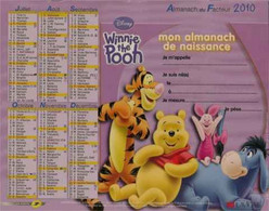 CALENDRIER 2010 ANNEE DE NAISSANCE  Winnie Disney - Grossformat : 2001-...