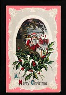 Ellen Clapsaddle - Santa Claus Carrying Bag Of Toys 1911 - Wolf Antique Postcard - Clapsaddle