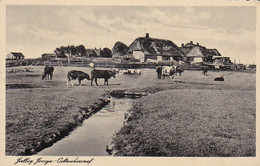 AK Hallig Hooge Ockenswarft   (56120) - Nordfriesland