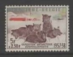 Belgium Yv 1030  1957 Surtax For Antarctic Expedition,Dogs Farm Brown Gum,MNH - Farm