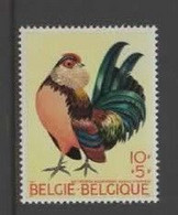 Belgium Yv 1513  1969 Health Fund,Chicken ,farm, MINH - Farm