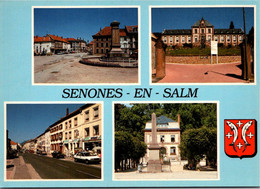 88 SENONES En SALM - Circuit Touristiques De Senones - CPSM - Senones