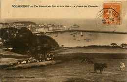 29 * Douarnenez - Douarnenez