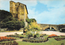 81 - Puylaurens - Vieux Château (XIIIe Siècle) - Puylaurens