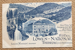 Carte Postale Précurseur Allemagne Triberg Hôtel Löwen - National - Triberg