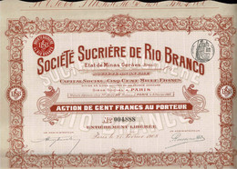 Sucrière De Rio Branco, 1908 - Agriculture
