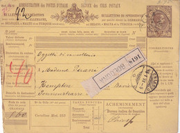 ITALIE  1891  ENTIER POSTAL/GANZSACHE/POSTAL STATIONARY  COLIS POSTAL DE BOLOGNA - Postpaketten