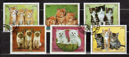 Sharjah 1972 Cats - CTO - Sharjah